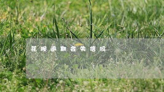 花呗逾期会失信吗 花呗逾期会失信吗