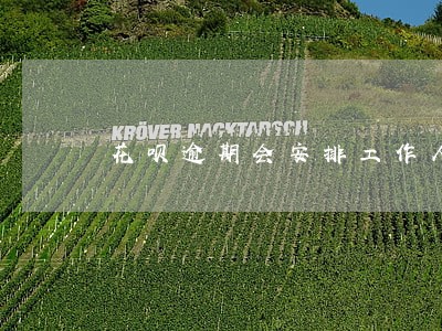 花呗逾期会安排工作人员去家里吗 花呗逾期会安排工作人员去家里吗