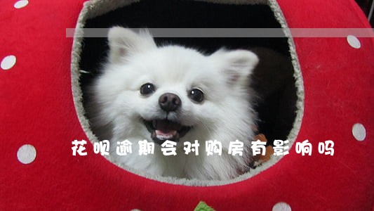 花呗逾期会对购房有影响吗 花呗逾期会对购房有影响吗