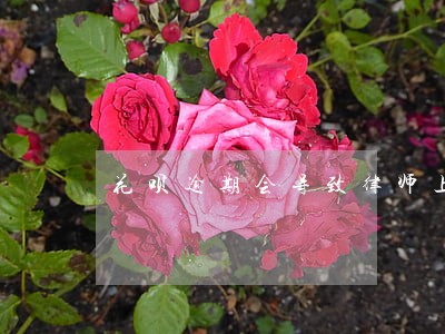 花呗逾期会导致律师上诉吗 花呗逾期会导致律师上诉吗