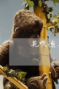 花呗逾期会导致终身不能解冻吗 花呗逾期会导致终身不能解冻吗