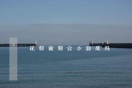 花呗逾期会小额度吗 花呗逾期会小额度吗