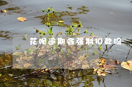 花呗逾期会强制扣款吗 花呗逾期会强制扣款吗