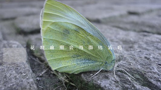 花呗逾期会当面结清吗 花呗逾期会当面结清吗
