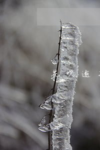 花呗逾期会影响个人信用吗 花呗逾期会影响个人信用吗