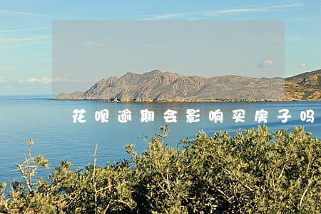花呗逾期会影响买房子吗 花呗逾期会影响买房子吗