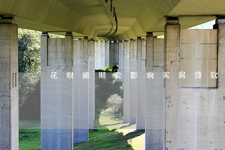 花呗逾期会影响买房贷款 花呗逾期会影响买房贷款
