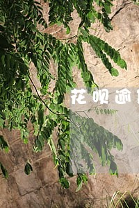 花呗逾期会影响买车票 花呗逾期会影响买车票