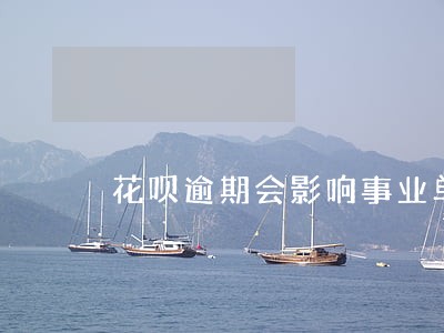 花呗逾期会影响事业单位吗 花呗逾期会影响事业单位吗