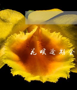 花呗逾期会影响以后买车吗 花呗逾期会影响以后买车吗