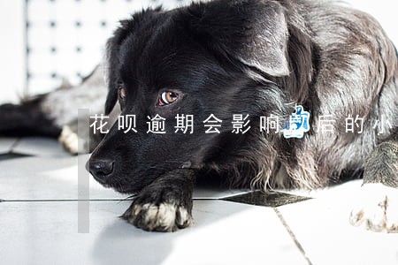 花呗逾期会影响以后的小孩么 花呗逾期会影响以后的小孩么