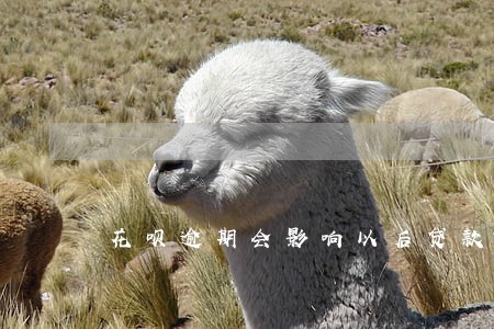 花呗逾期会影响以后贷款买车吗 花呗逾期会影响以后贷款买车吗