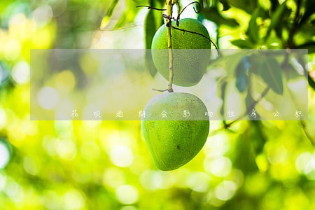 花呗逾期会影响住房公积金吗 花呗逾期会影响住房公积金吗