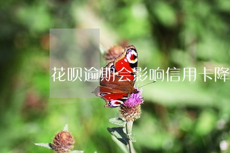 花呗逾期会影响信用卡降额吗 花呗逾期会影响信用卡降额吗