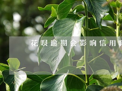 花呗逾期会影响信用嘛 花呗逾期会影响信用嘛