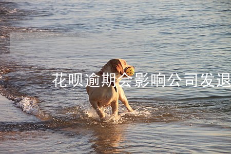 花呗逾期会影响公司发退款吗 花呗逾期会影响公司发退款吗