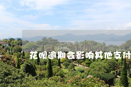 花呗逾期会影响其他支付账户吗 花呗逾期会影响其他支付账户吗