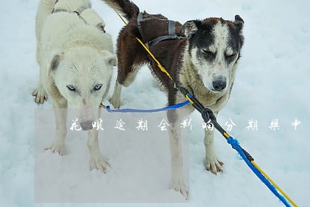 花呗逾期会影响分期乐申请借款吗 花呗逾期会影响分期乐申请借款吗