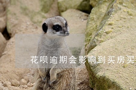 花呗逾期会影响到买房买车吗 花呗逾期会影响到买房买车吗