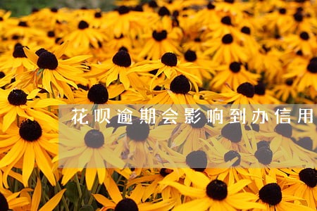 花呗逾期会影响到办信用卡吗 花呗逾期会影响到办信用卡吗