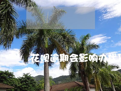 花呗逾期会影响办代贷款嘛 花呗逾期会影响办代贷款嘛
