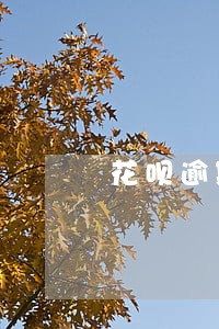 花呗逾期会影响办房贷吗 花呗逾期会影响办房贷吗