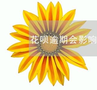 花呗逾期会影响唯品会吗 花呗逾期会影响唯品会吗