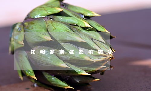 花呗逾期会影响孩子 花呗逾期会影响孩子