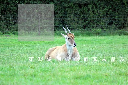 花呗逾期会影响家人朋友 花呗逾期会影响家人朋友