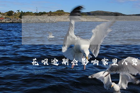 花呗逾期会影响家里人贷款么 花呗逾期会影响家里人贷款么