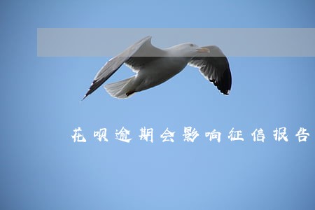 花呗逾期会影响征信报告吗 花呗逾期会影响征信报告吗