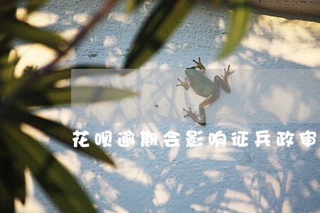 花呗逾期会影响征兵政审嘛 花呗逾期会影响征兵政审嘛