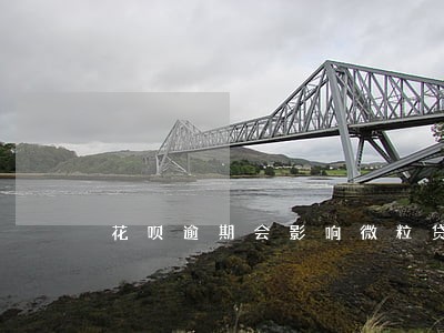 花呗逾期会影响微粒贷吗 花呗逾期会影响微粒贷吗
