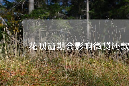花呗逾期会影响微贷还款吗 花呗逾期会影响微贷还款吗