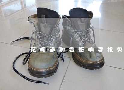 花呗逾期会影响手机欠费吗 花呗逾期会影响手机欠费吗