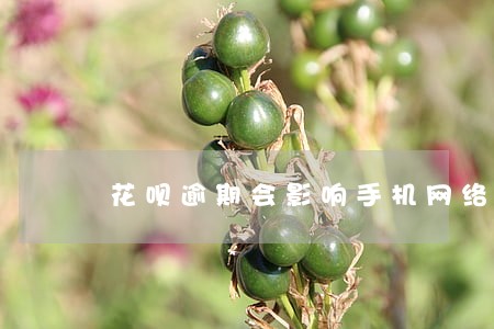 花呗逾期会影响手机网络吗 花呗逾期会影响手机网络吗