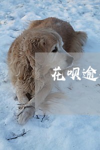 花呗逾期会影响找工作吗 花呗逾期会影响找工作吗