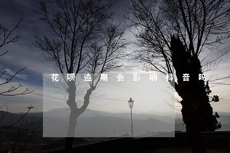 花呗逾期会影响抖音吗 花呗逾期会影响抖音吗