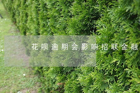 花呗逾期会影响招联金融吗 花呗逾期会影响招联金融吗