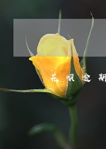 花呗逾期会影响按揭买房吗 花呗逾期会影响按揭买房吗