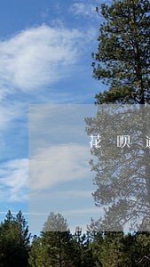 花呗逾期会影响捷信分期吗 花呗逾期会影响捷信分期吗