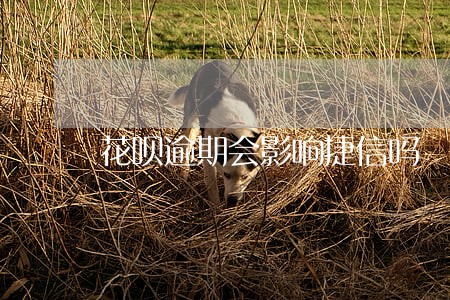 花呗逾期会影响捷信吗 花呗逾期会影响捷信吗
