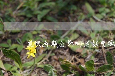 花呗逾期会影响提额度嘛 花呗逾期会影响提额度嘛