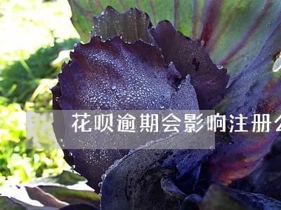 花呗逾期会影响注册公司吗 花呗逾期会影响注册公司吗