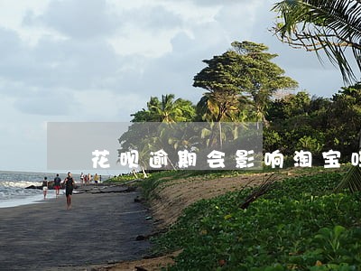 花呗逾期会影响淘宝吗 花呗逾期会影响淘宝吗