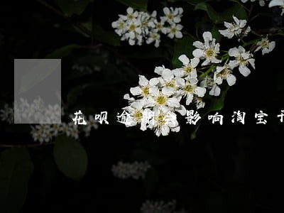 花呗逾期会影响淘宝开店吗 花呗逾期会影响淘宝开店吗