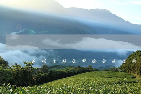花呗逾期会影响金条借钱吗