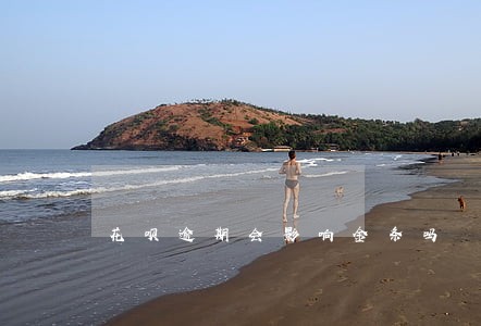 花呗逾期会影响金条吗 花呗逾期会影响金条吗