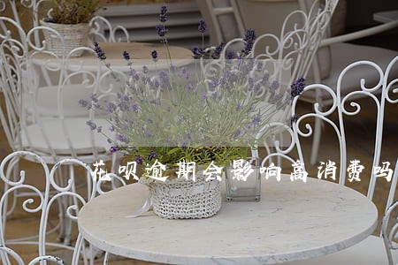 花呗逾期会影响高消费吗 花呗逾期会影响高消费吗
