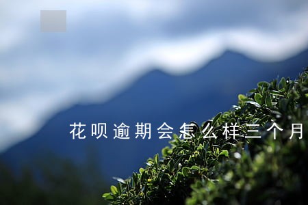 花呗逾期会怎么样三个月 花呗逾期会怎么样三个月